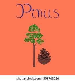 flat illustration stylish background plant Pinus