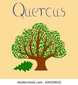 flat illustration stylish background plant Quercus
