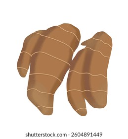 A flat illustration of two aromatic ginger roots with curved, irregular shapes and soft brown skin, featuring natural lines. It gives an earthy, warm, and organic feel.
