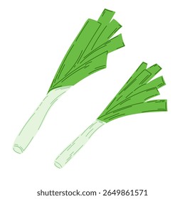 Flat illustration of two fresh leeks. Design for food, kitchen, or farming projects