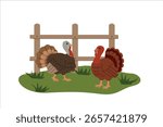 Flat illustration of two turkeys standing on green grass near a wooden fence. Simple cartoon style with warm earthy tones, ideal for farm themes, Thanksgiving, kids content, and education. Vector