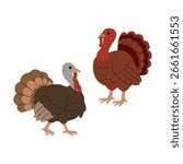 Flat illustration of two turkeys in warm brown and red tones, each in a different pose. Simple cartoon style, perfect for Thanksgiving themes, farm content, childrens books, and educational materials