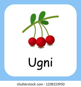 Flat Illustration of Ugni with Text Vector Design. Education for Kids.