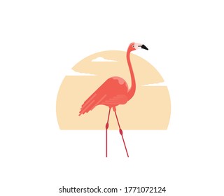 Flat illustration vector flamingo bird