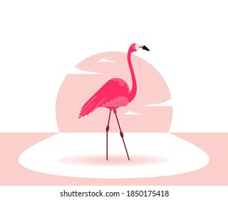 Flat illustration vector flamingo bird