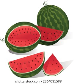 Flat illustration of watermelons: whole, a sliced and seeds - tropical refreshing fruit