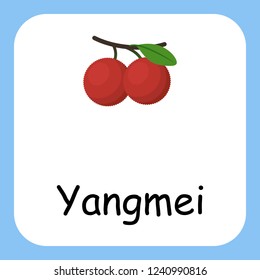 Flat Illustration of Yangmei with Text Vector Design. Education for Kids.