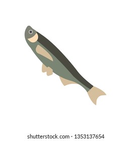 Flat illustration of a ziege fish for food market and restaurant.