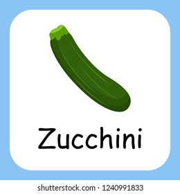 Flat Illustration of Zucchini with Text Vector Design. Education for Kids.