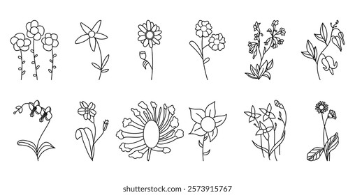 Flat illustrations of Blossom Flowers set isolated on white background. Floral plants with gorgeous petal, leaf. Wild blooms, interior wall arts, garden floral plants.