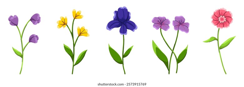 Flat illustrations of Blossom Flowers set isolated on white background. Floral plants with gorgeous petal, leaf. Wild blooms, interior wall arts, garden floral plants.