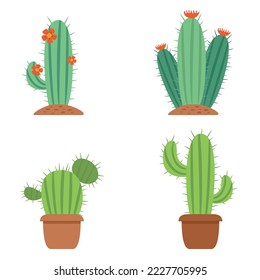 Flat Illustrations Of Cactus Plant