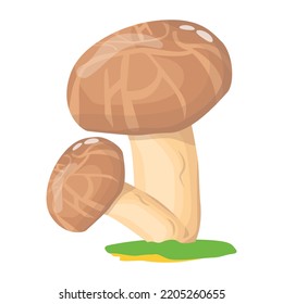 Un vector ilustrativo plano de hongos 