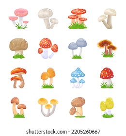 A flat illustrative vector of mushroom 