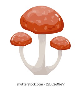A flat illustrative vector of mushroom 