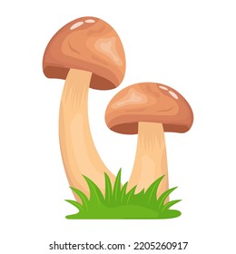 A flat illustrative vector of mushroom 
