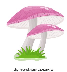 A flat illustrative vector of mushroom 