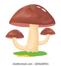 Un vector ilustrativo plano de hongos 