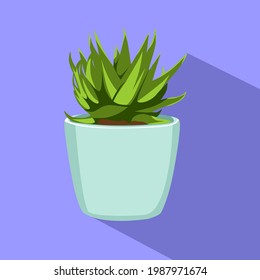 Flat ilustration of aloe vera