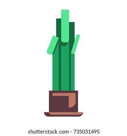 Flat image of the house plant in the pot.