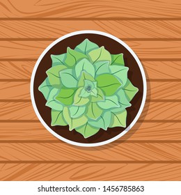 Flat image of pot with succulent on wooden table. Concept of house plant. Top view of a green home flower. Vector illustration