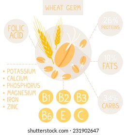 flat infographic useful properties of germinated wheat germ