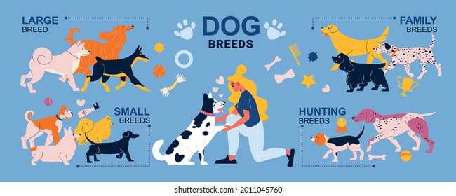 Flat infographics with various large small family and hunting dog breeds and female character vector illustration