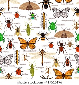 Flat Insects Seamless Pattern Vector Illustration