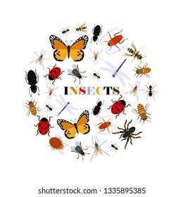 Flat insects vector icons in round shape isolated on white background. Illustration of insect bug, bee and butterfly