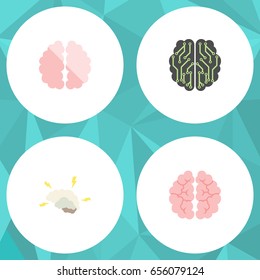Flat Intelligence Set Of Intellect, Imagination, Mind And Other Vector Objects. Also Includes Brain, Intellect, Mind Elements.