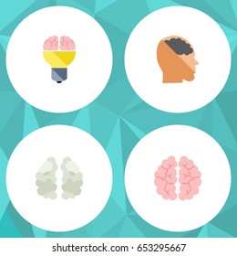 Flat Intelligence Set Of Mind, Mentality, Idea And Other Vector Objects. Also Includes Brain, Inspiration, Human Elements.
