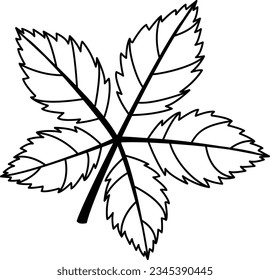 Flat isolated autumn leaf. 
Leaf silhouette illustration vector.