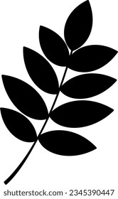 Flat isolated autumn leaf. 
Leaf silhouette illustration vector.