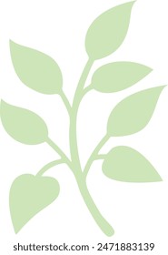 Flat isolated green leaf on white background.  Tropical leaf vector illustration. Ecology.