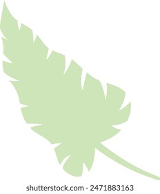 Flat isolated green leaf on white background.  Tropical leaf vector illustration. Ecology.