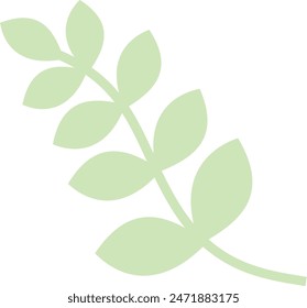 Flat isolated green leaf on white background.  Tropical leaf vector illustration. Ecology.