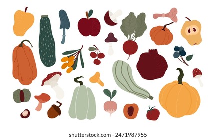 Flat isolated illustration of various autumn seasonal food including pumpkins, gourds, mushrooms, and berries. Perfect for seasonal design projects 