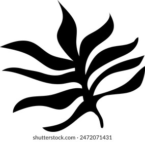 Flat isolated leaf silhouette on white background.  Tropical leaf vector illustration. Ecology.