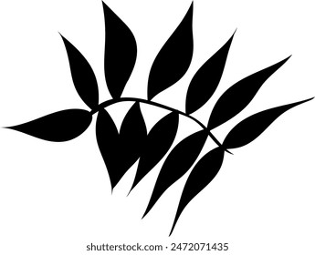 Flat isolated leaf silhouette on white background.  Tropical leaf vector illustration. Ecology.