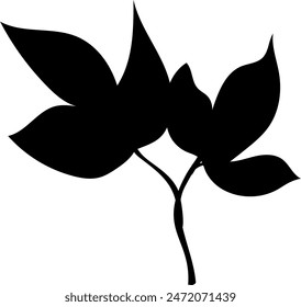 Flat isolated leaf silhouette on white background.  Tropical leaf vector illustration. Ecology.
