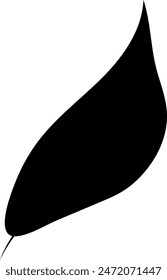 Flat isolated leaf silhouette on white background.  Tropical leaf vector illustration. Ecology.