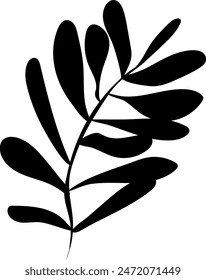 Silueta de hoja aislada plana sobre fondo blanco.  Ilustración vectorial de hoja tropical. Ecología.