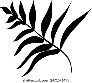 Flat isolated leaf silhouette on white background.  Tropical leaf vector illustration. Ecology.