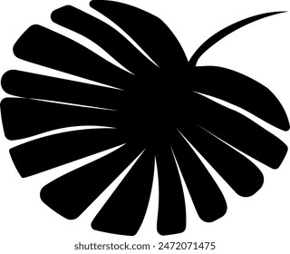 Flat isolated leaf silhouette on white background.  Tropical leaf vector illustration. Ecology.