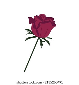 Rosa de flor de ilustración vectorial aislada plana