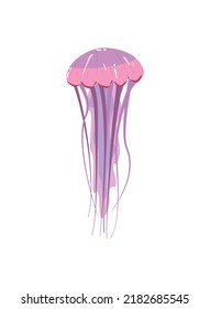 flat jellyfish illustration over white