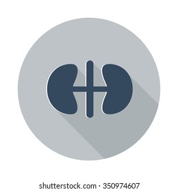 Flat Kidneys icon with long shadow on grey circle