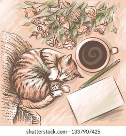 Flat Lay. Colored sketch drawing depicting a sleeping cat, a bouquet of roses, a cup of tea, a sheet of paper and a pencil.