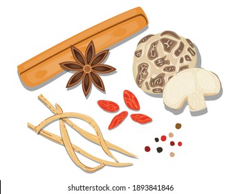 Ilustración vectorial del ingrediente con estilo de comida ligera, aislada sobre fondo blanco. Hierba tradicional china. palo de canela, berry goji, wolfberries, setas, shiitake, anís estrellado, flor diurna,
