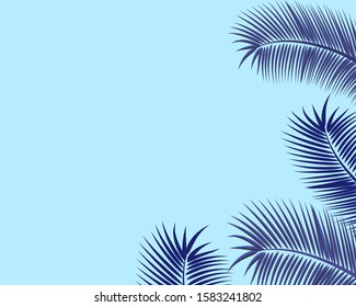 Flat lay  leaves and branches of palm trees. Tropical leaf background,trendy text space.Design poster, banner, web site, isolated illustration.